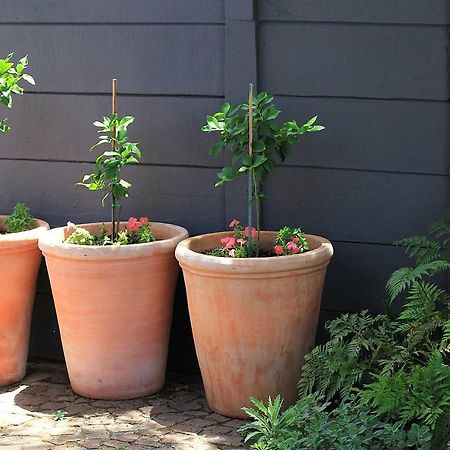 Olive Tree Private Rooms In Stellenbosch- No Load Shedding 외부 사진